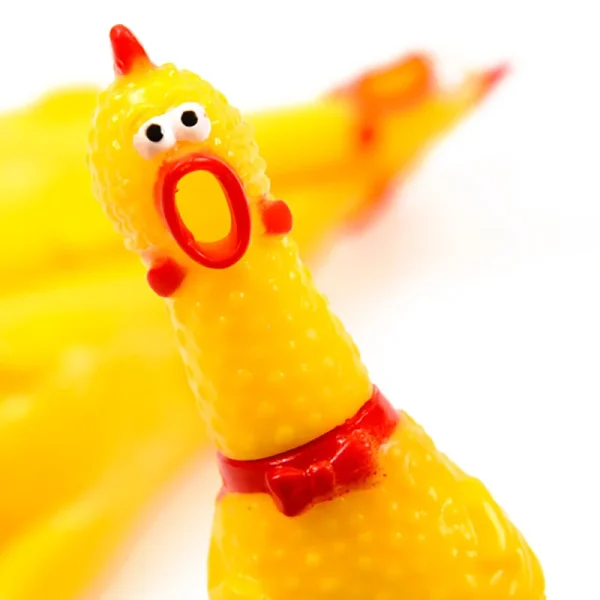 The screaming chicken face close up