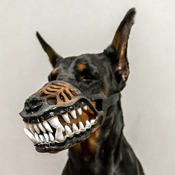 A doberman in the werewolf muzzle