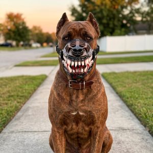 Dog wearing the werewolf muzzle on a walk