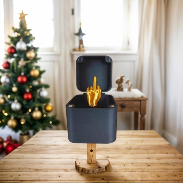 The middle finger box by the christmas tree