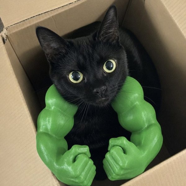 Black cat in a box with green muscle arms