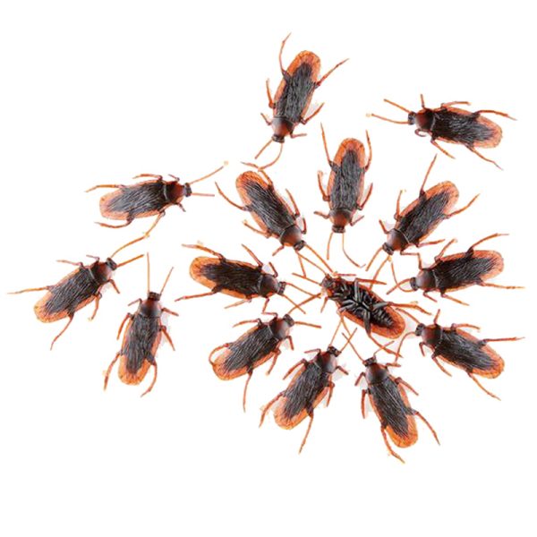 Fake cockroaches arranged in a circle
