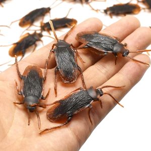 Cockroach Invasion &ndash; 10 Pack