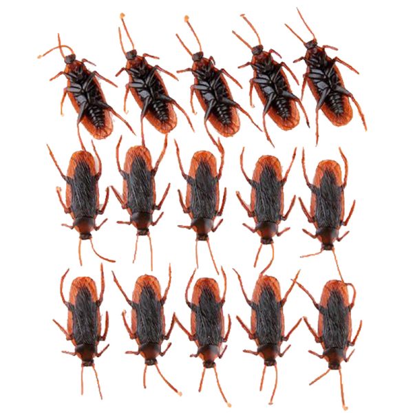 Rows of realistic fake cockroaches