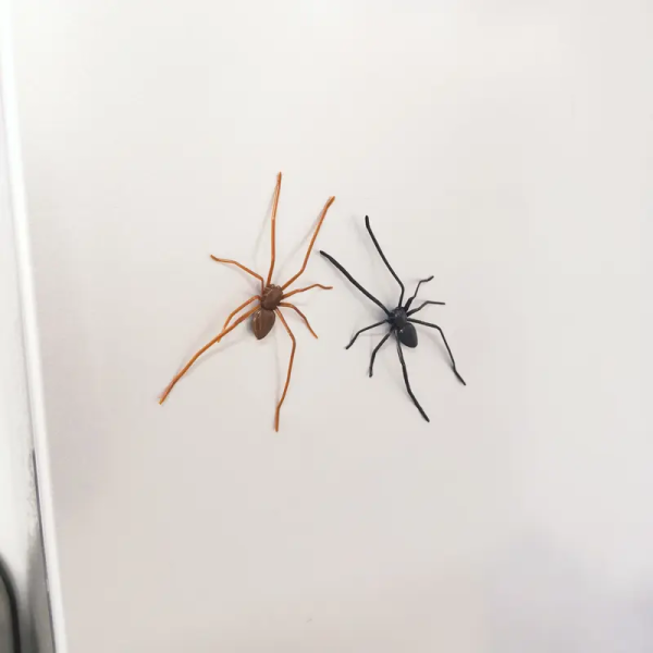 Spider magnets on a white surface