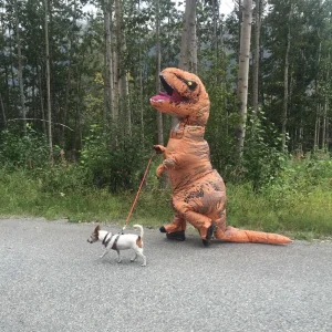 Person in an inflatable T-Rex costume walking a small dog