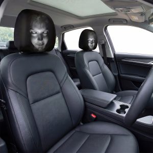 Two headrest covers with a scary face, seen from the back seat