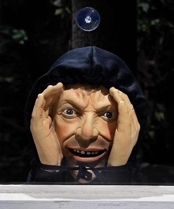 Window Peeper